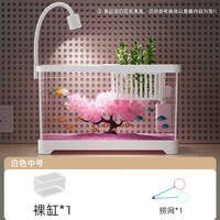 金雅特 鱼缸小型客厅生态造景过滤制氧一体机2025新款带盖家用桌面金鱼缸