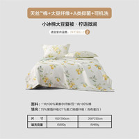  MERCURY/水星家纺 莱赛尔面料含大豆纤维填充 夏凉被