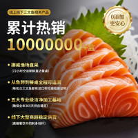 鲜京采 源头直发 冰鲜三文鱼柳 挪威三文鱼柳刺身 500g