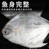 鲜丰收 新鲜冷冻 银鲳鱼