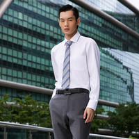 雅戈尔 免烫 男士100%纯棉长袖衬衫