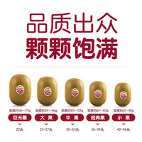 佳沛 巨无霸 红奇异果