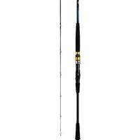  DAIWA/达亿瓦  海钓竿