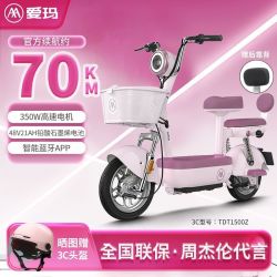 爱玛 长跑王 电动自行车