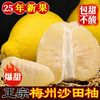  韵品园 当季新鲜 沙田柚