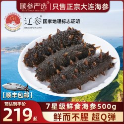 颐参严选 大连鲜食即食海参500g官方旗舰店口感好顺丰发