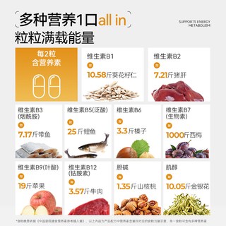  OXYENERGY/氧气能量 多种复合维生素 复合维生素片
