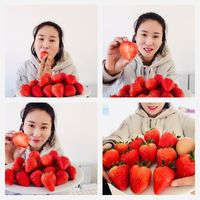  洽果匠 新鲜 草莓