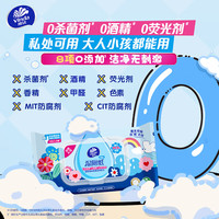  Vinda/维达 便携 湿厕纸