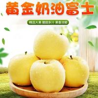 華北強 华北强 奶油富士苹果水果新鲜脆甜多汁时令整箱新鲜采摘多仓发货 净重4.5斤装单果70-75mm