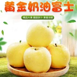 華北強 华北强 奶油富士苹果水果新鲜脆甜多汁时令整箱新鲜采摘多仓发货 净重4.5斤装单果70-75mm