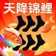  值友专享、今日必买、京东百亿补贴：京东京造 【10A抗菌】重磅纯棉男士中筒袜 6双　