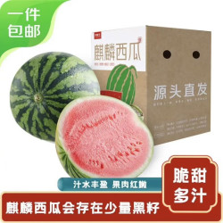 京鲜生 无籽麒麟西瓜 净重7-9斤 1粒装