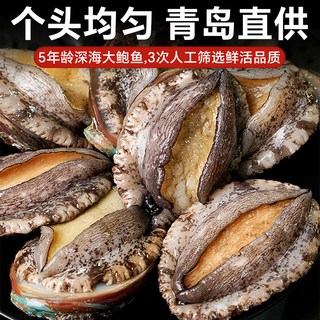  卖鱼郎先生 超大 冷冻鲍鱼 7-11只/1斤