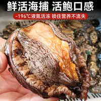 卖鱼郎先生 新鲜冷冻 鲍鱼