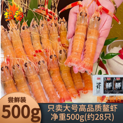 海渔链 舟山深海鳌虾 500g 大号（约28只）