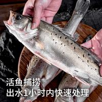 云储生活 新鲜冷冻 海鲈鱼