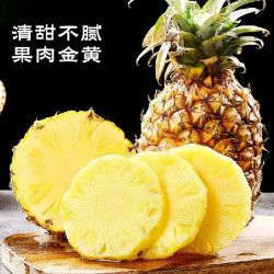 京鲜生 云南版纳凤梨净重3斤（单果600g+）（可搭配其他各种水果）