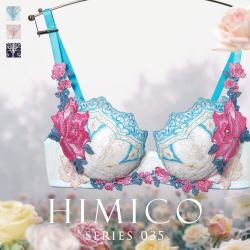 HIMICO 聚拢收副乳 女士文胸