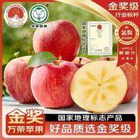  万荣苹果 冰糖心