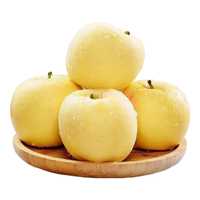  HUA BEI QIANG/華北強 脆甜多汁 奶油富士苹果