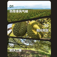  JOYVIO/佳沃 急冻保鲜 金枕榴莲果肉