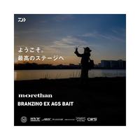  DAIWA/达亿瓦  海鲈竿 水滴轮