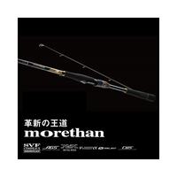 DAIWA/达亿瓦 钓鱼竿
