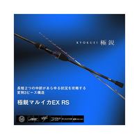 DAIWA/达亿瓦 船竿