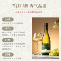  宝藏湾 新西兰 干白葡萄酒