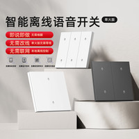 鸿雁 离线语音控制 智能开关