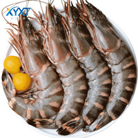  XYXT/虾有虾途 新鲜冷冻 黑虎虾