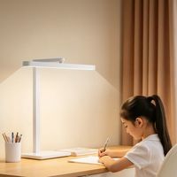 京东京造 进步台灯2 全光谱防蓝光AAAAA级防近视学生学习护眼台灯 均匀光
