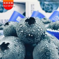  玖玖农场 当季新鲜 蓝莓