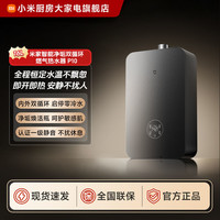 米家 小米米家智能净垢双循环燃气热水器P10 16L JSQ30-MJ06