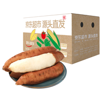  家美舒达 白蜜红薯