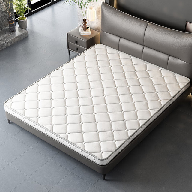 惠寻 椰棕床垫硬床垫薄棕垫榻榻米床垫棕榈1.5米x床垫子CD01 总厚度5厘米