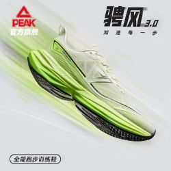 匹克 态极骋风3.0跑步鞋男减震耐磨青少年轻便训练运动鞋夏季透气