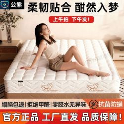 公熊 天然椰棕床垫家用环保卧室护脊棕榈乳胶儿童棕垫榻榻米床垫子
