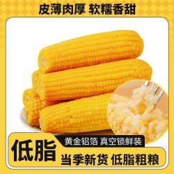 slavyanka 25年新鲜黄糯玉米东北糯玉米真空包装加热即食黏玉米早餐粗粮整箱