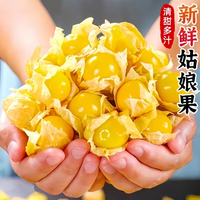 京喜加 时令水果 姑娘果