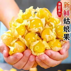 京喜加 姑娘果2斤