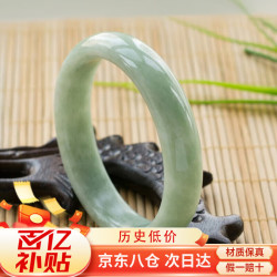 可辰 玉手镯浅绿飘花贵州翠玉镯旺夫手镯送女友送妈妈生日礼物
