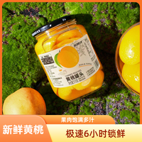 桃花源 沂蒙山正宗黄桃 黄桃罐头510g*1罐