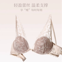 俞兆林 内衣女蕾丝性感套装小胸聚拢深V透气防下垂上托文胸罩