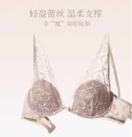 俞兆林 内衣女蕾丝性感套装小胸聚拢深V透气防下垂上托文胸罩