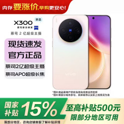 vivo X300 5G 手机 幸运彩 12GB 256GB