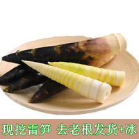 娇娇家的果园 四川春笋蒲江雷笋新鲜现挖鲜竹笋现挖蔬菜加冰袋去老头发货 圆通四川雷笋5斤12到25根
