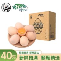 百亿补贴：我老家 正宗农家土鸡蛋40克散养新鲜整箱谷物喂养10枚