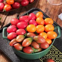  灿益蓝 新鲜 小番茄